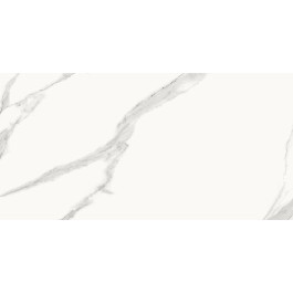 Newker Плитка Newker MARBLE+ STATUARIO NANOTECH WHITE 60х120