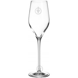 Fiora Набор бокалов для шампанского Avila 230 мл 6 шт. (AVILA 230ml champagne flute, g)