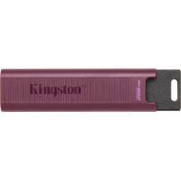Kingston 256 GB DataTraveler Max USB 3.2 Gen 2 (DTMAXA/256GB)