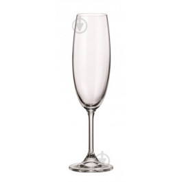 Banquet Набір келихів для шампанського Leona 210 мл 6 шт. (8591022358641)