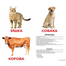Вундеркінд з пелюшок Домашние животные с фактами украинские Ламинация (2100064091544)