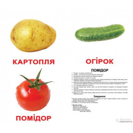 Вундеркінд з пелюшок Овощи с фактами украинские Ламинация (2100064288517)