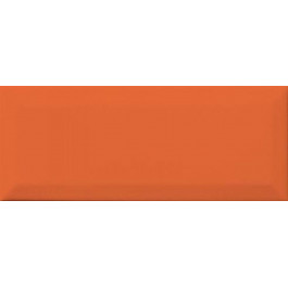 RAKO Concept Plus Orange Glossy Wargt001 10*25 Вставка