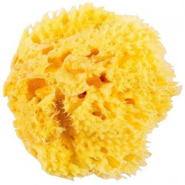 Okbaby Натуральная морская губка  Honeycomb Sea Sponge размер 12 (38471200)
