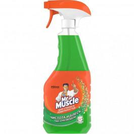 Mr Muscle Средство для мытья стекол Профессионал с курком с нашатырным спиртом 500 мл (4823002000153)