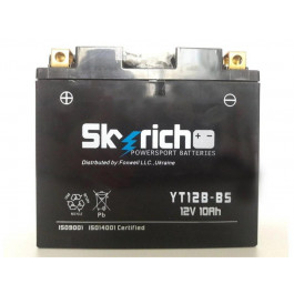 Skyrich YT12B-BS
