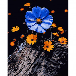 STRATEG Картина за номерами ПРЕМІУМ Квітки на пні на чорному фоні розміром 40х50 см AH1065