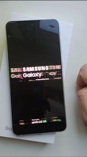 Фото Смартфон Samsung Galaxy S21 FE 5G 6/128GB Olive (SM-G990BLGD, SM-G990BLGF) від користувача Владимир235